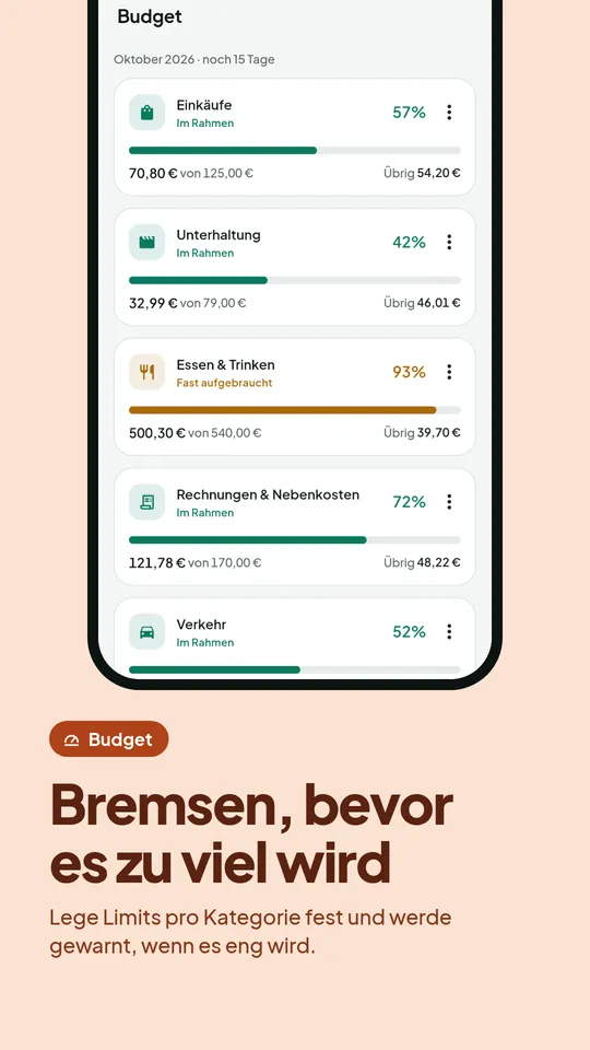 Monatsbudgets pro Kategorie mit Warnungen