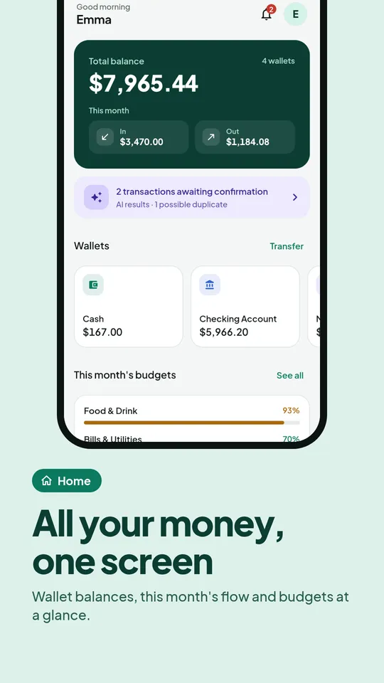 Home: total balance across all wallets, this month's cash flow and budgets