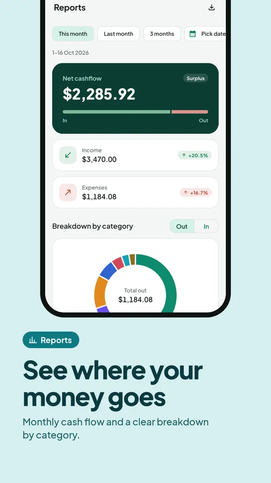 Cash flow report with a breakdown by category
