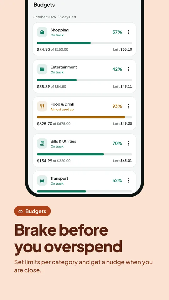 Monthly budgets per category with alerts