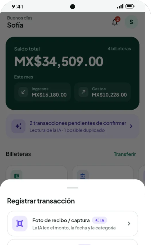 Menú para registrar: foto del recibo, pegar texto/SMS, ingreso manual, importar estados de cuenta
