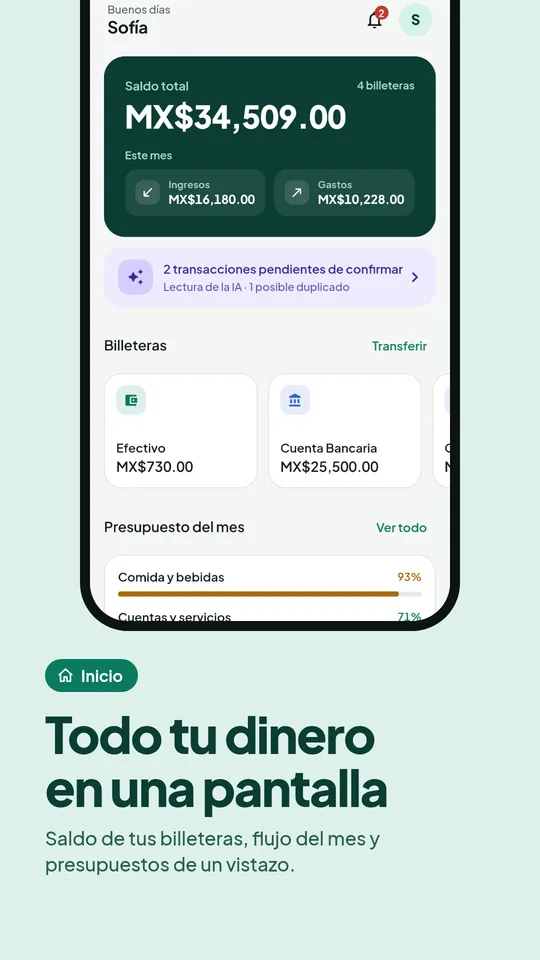 Inicio: saldo total de todas las billeteras, flujo del mes y presupuestos