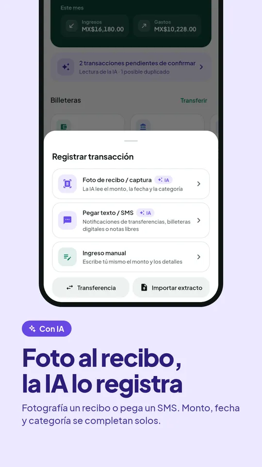 Registrar transacción: foto del recibo, pegar texto/SMS o ingreso manual
