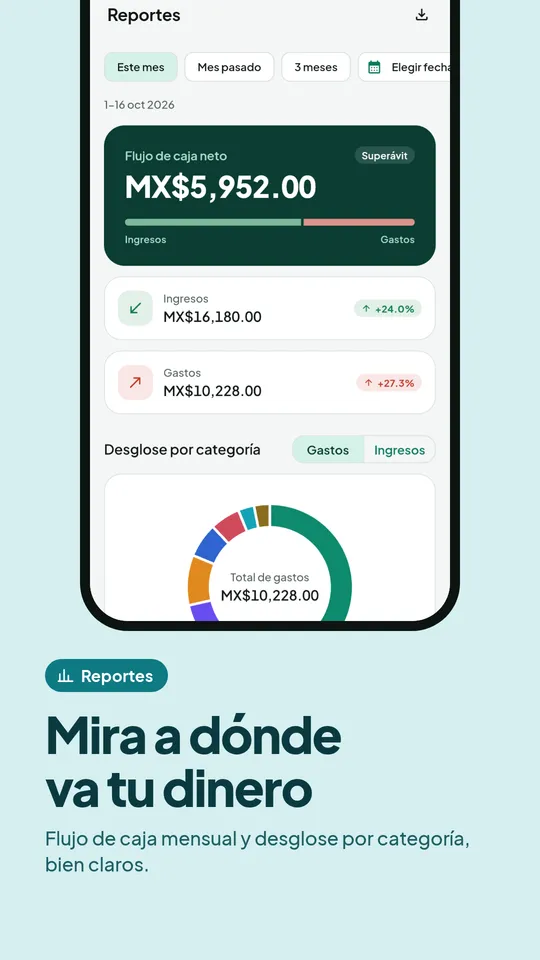 Informe de flujo de caja con desglose por categoría
