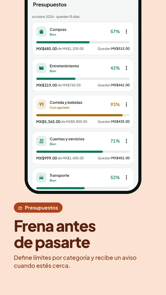 Presupuesto mensual por categoría con alertas
