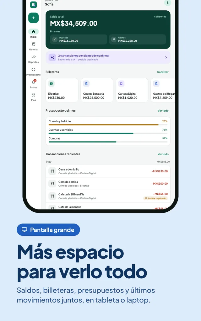 Más espacio para verlo todo. Saldos, billeteras, presupuestos y últimos movimientos juntos, en tableta o laptop.