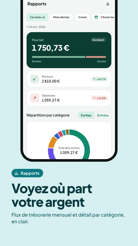 Rapport de flux de trésorerie et détail par catégorie