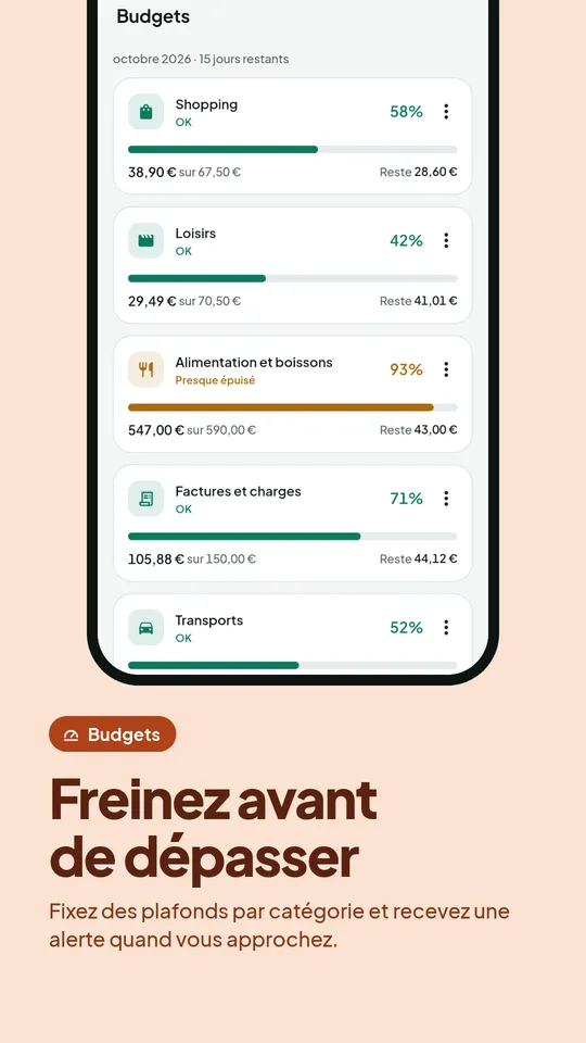 Budget mensuel par catégorie avec alertes