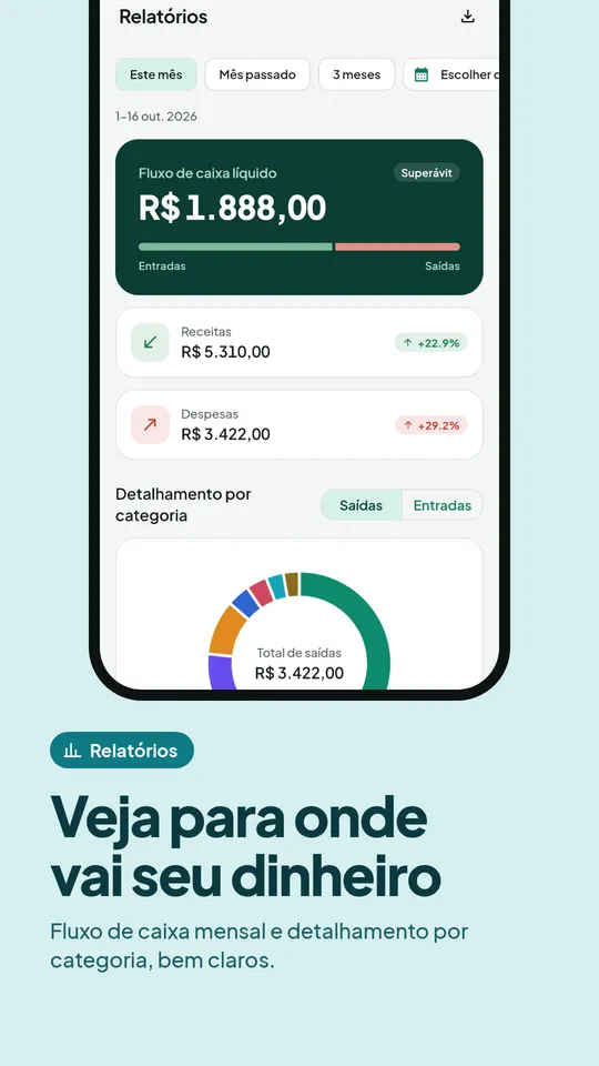 Relatório de fluxo de caixa com detalhamento por categoria